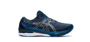 Gt 2000 10 10 Thunder Blue/Fre